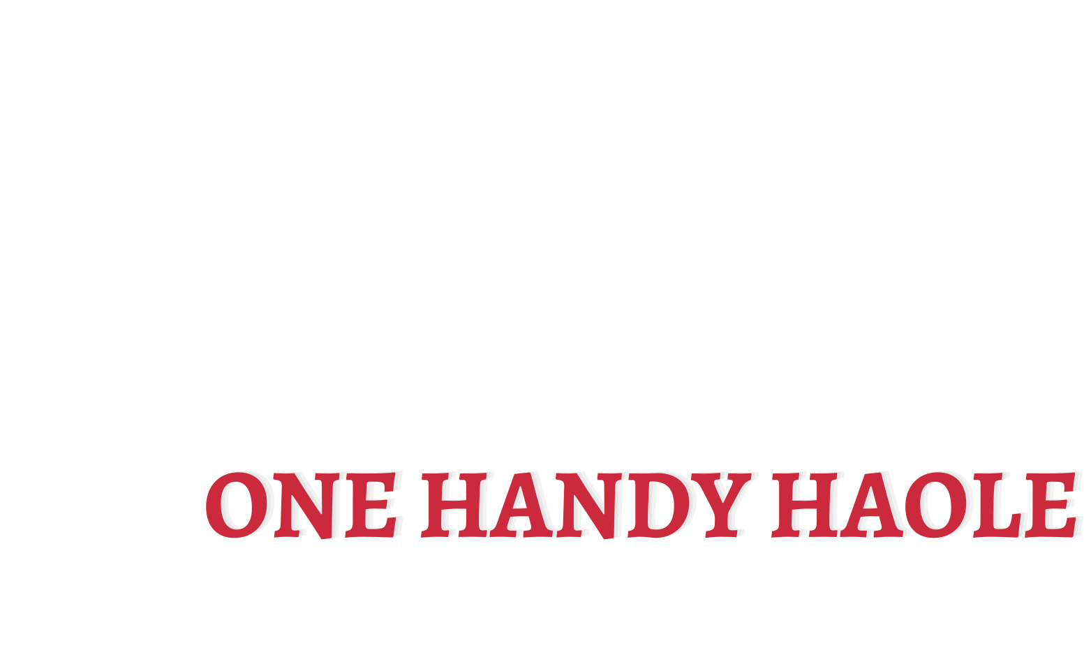 onehandyhaole logo